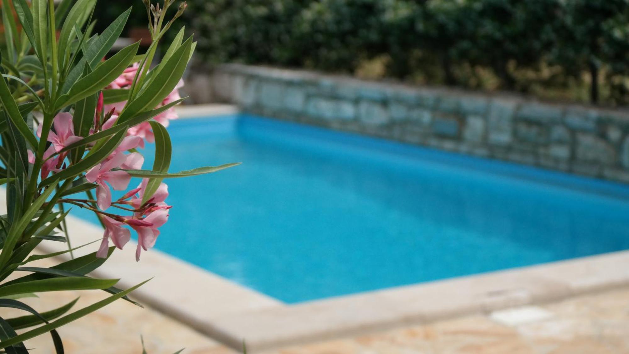 Terra Mirna Villa Vižinada Екстериор снимка