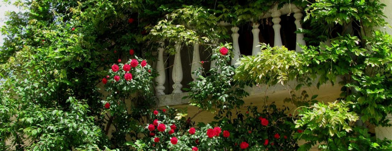 Terra Mirna Villa Vižinada Екстериор снимка