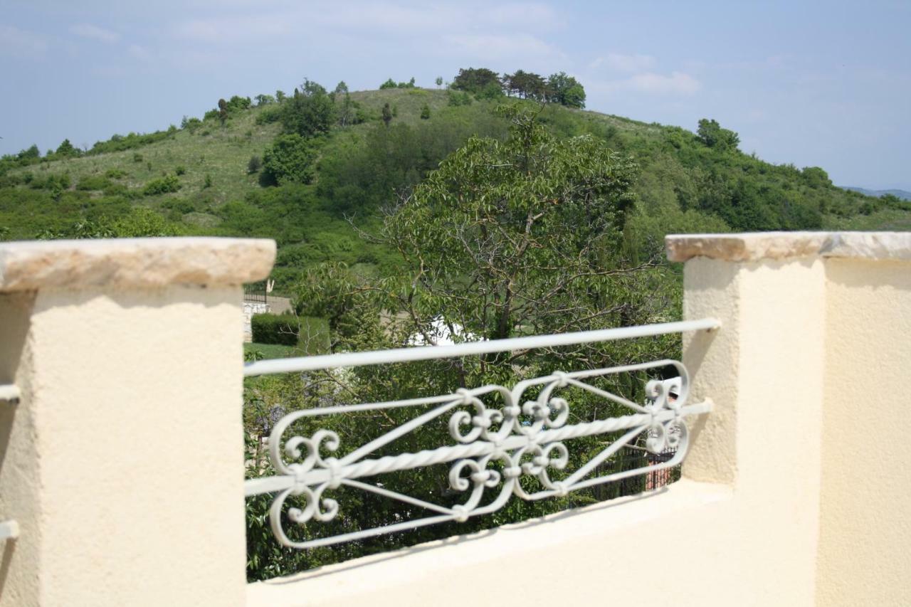 Terra Mirna Villa Vižinada Екстериор снимка
